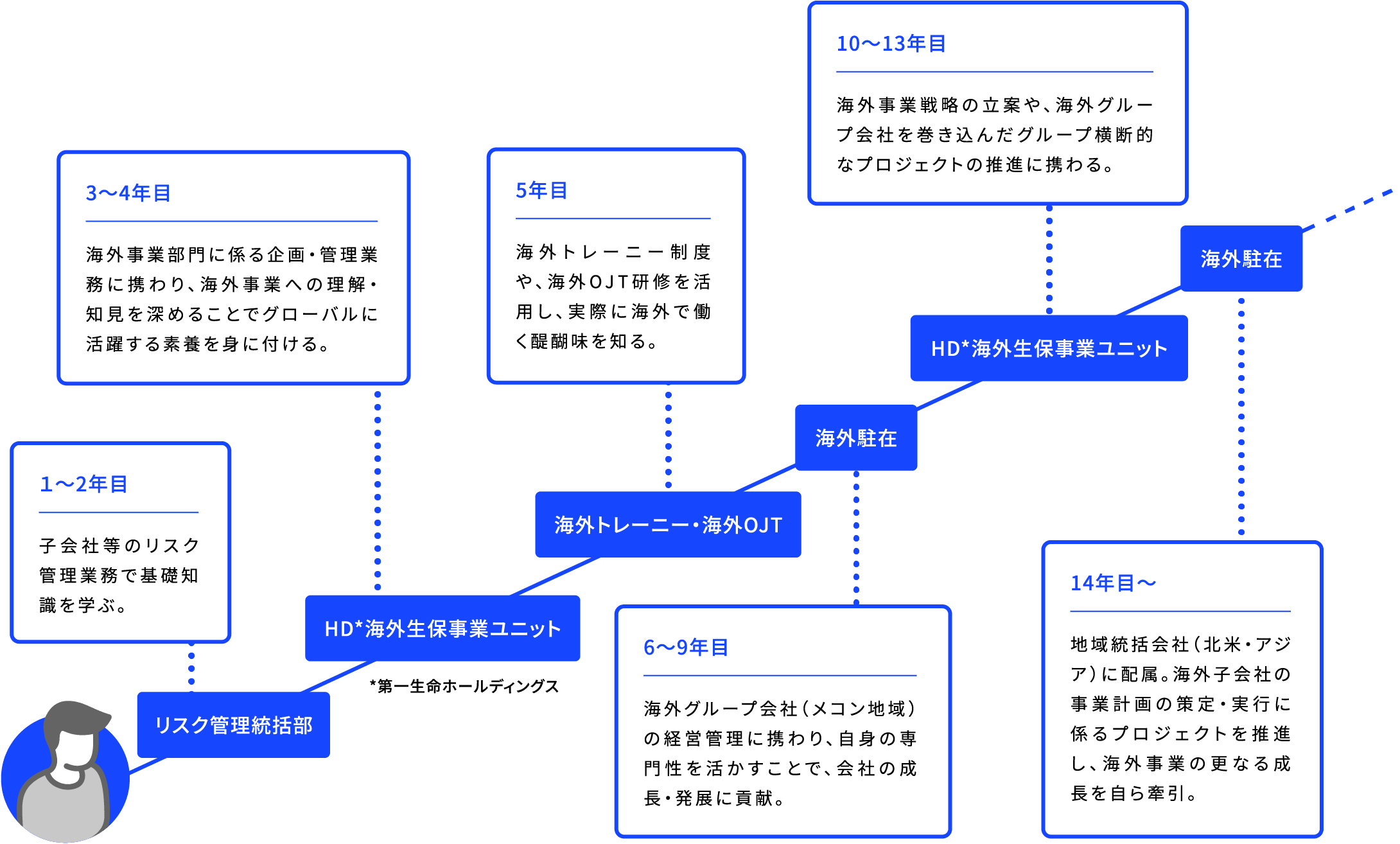 リスク管理統括部 1~2年目 子会社等のリスク管理業務で基礎知識を学ぶ。HD*海外生保事業ユニット 3〜4年目 海外事業部門に係る企画・管理業務に携わり、海外事業への理解・知見を深めることでグローバルに活躍する素養を身に付ける。 *第一生命ホールディングス 海外トレーニー・海外OJT 5年目 海外トレーニー制度や、海外OJT研修を活用し、実際に海外で働く醍醐味を知る。 海外駐在 6〜9年目 海外グループ会社(メコン地域)の経営管理に携わり、自身の専門性を活かすことで、会社の成長・発展に貢献。 HD*海外生保事業ユニット 10〜13年目 海外事業戦略の立案や、海外グループ会社を巻き込んだグループ横断的なプロジェクトの推進に携わる。 海外駐在 14年目~ 地域統括会社(北米・アジア)に配属。海外子会社の事業計画の策定・実行に係るプロジェクトを推進し、海外事業の更なる成長を自ら牽引。