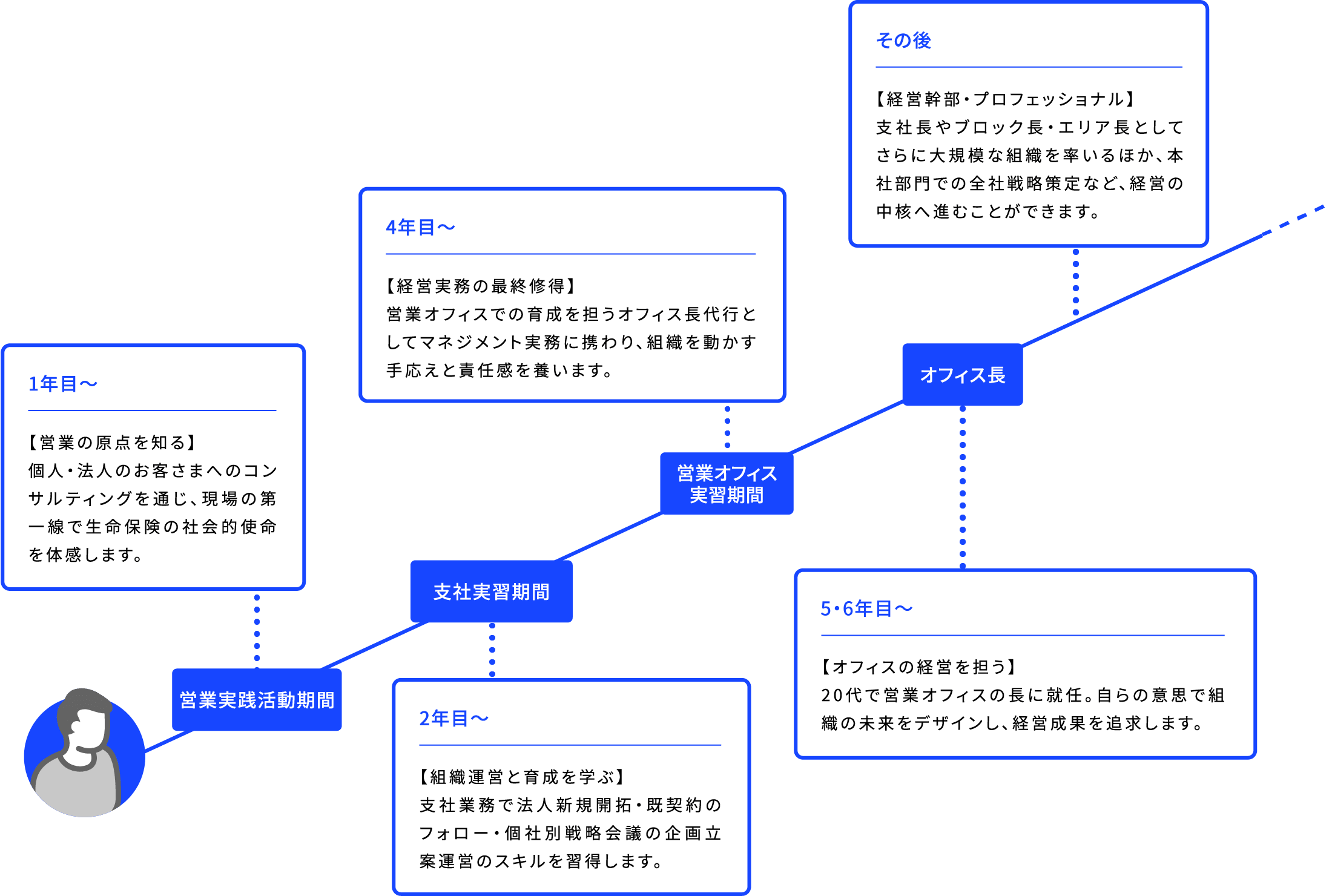 営業実践活動期間 1年目〜 【営業の原点を知る】個人・法人のお客さまへのコンサルティングを通じ、現場の第一線で生命保険の社会的使命を体感します。 支社実習期間 2年目〜 【組織運営と育成を学ぶ】支社業務で法人新規開拓・既契約のフォロー・個社別戦略会議の企画立案運営のスキルを習得します。 営業オフィス実習期間 4年目〜 【経営実務の最終修得】営業オフィスでの育成を担うオフィス長代行としてマネジメント実務に携わり、組織を動かす手応えと責任感を養います。 オフィス長 6年目〜 【オフィスの経営を担う】 20代で営業オフィスの長に就任。自らの意思で組織の未来をデザインし、経営成果を追求します。 その後 【経営幹部・プロフェッショナル】 支社長やブロック長・エリア長としてさらに大規模な組織を率いるほか、本社部門での全社戦略策定など、経営の中核へ進むことができます。